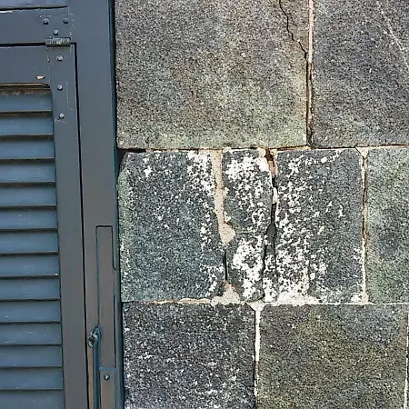 Amber Леванто