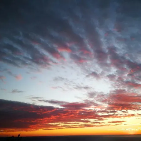 Amber ليفانتو