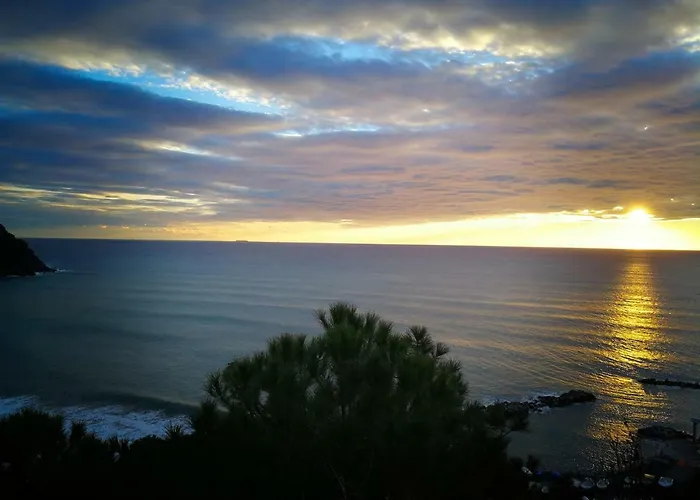 Amber * Λεβάντο