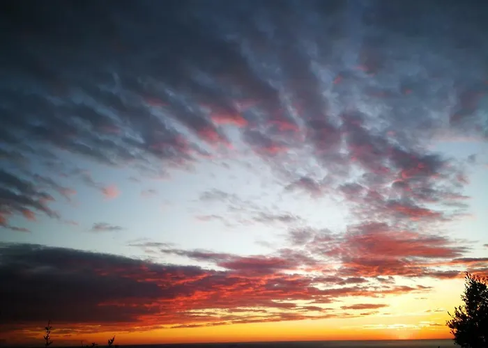 Amber Λεβάντο