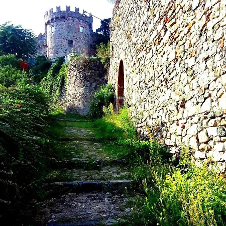 公寓 Amber 莱万托